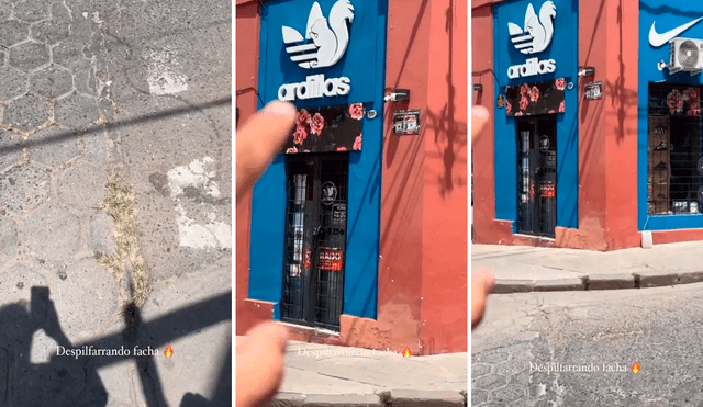 Depresión Matar oportunidad TikTok | Argentina | ¡Tiembla, Adidas! Tienda de zapatillas se hace viral  en TikTok por “Ardillas, modelo exclusivo” | viral | Redes Sociales | Video  | Video viral | La República