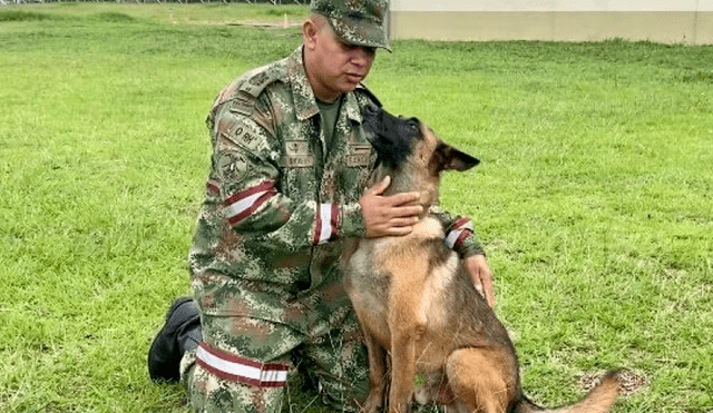 Wilson fue una pieza fundamental durante la Operación Esperanza para encontrar a los hermanos Mucutuy. Foto: @COL_EJERCITO/Twitter