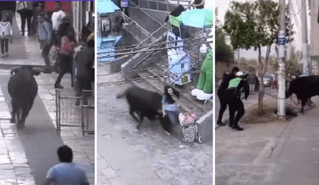 Toro hizo correr a transeúntes en Ayacucho. Foto y video: Latina noticias