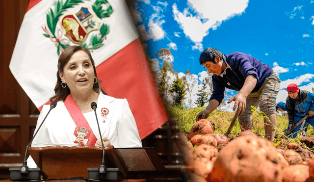 Dina Boluarte señaló que el FertiAbono 2 beneficiará a 166.000 productores agrarios. Foto: composición LR/Antonio Melgarejo/Andina
