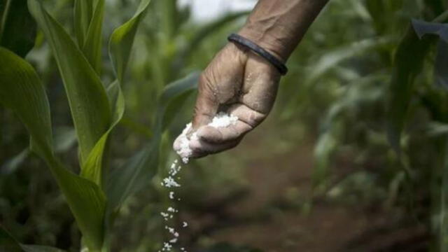 Planta petroquímica. La urea es uno de los principales fertilizantes fabricados con gas natural. Foto: difusión