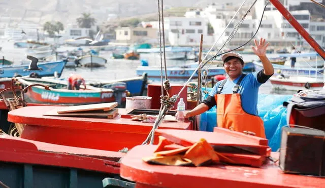 El Gobierno alista la entrega de un segundo bono de S/700 para los pescadores artesanales. Foto: Andina