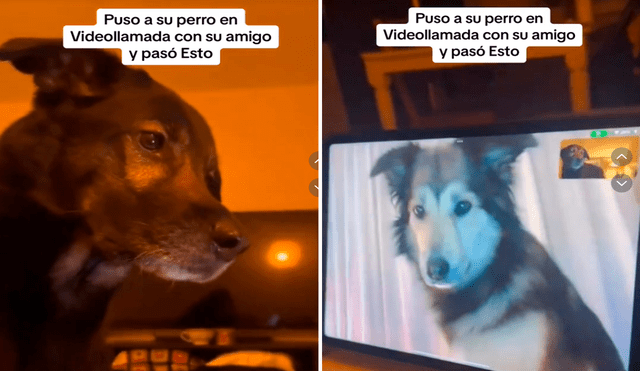 Las imágenes sacaron más de una lágrima en los usuarios de redes. Foto: composición LR/@Dano2137/TikTok Las imágenes sacaron más de una lágrima en los usuarios de redes. Foto: composición LR/@Dano2137/TikTok