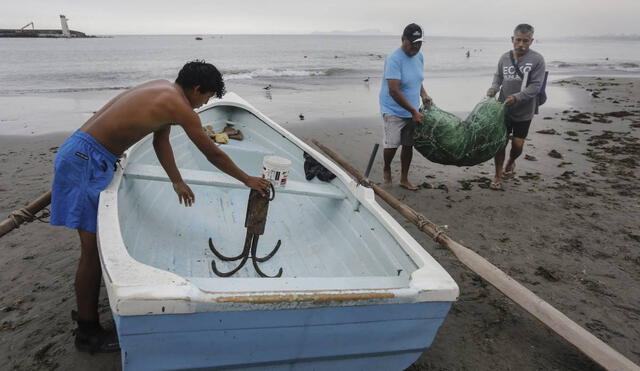 Afectados. Productos bentónicos no pueden ser extraídos por menor tamaño de crecimiento ante calentamiento de océano. Foto: La República