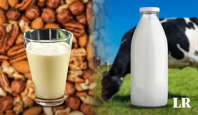 La leche de vaca y la vegetal no poseen la misma cantidad de nutrientes. Conoce cuál es mejor. Foto: composición LR/Freepik/difusión