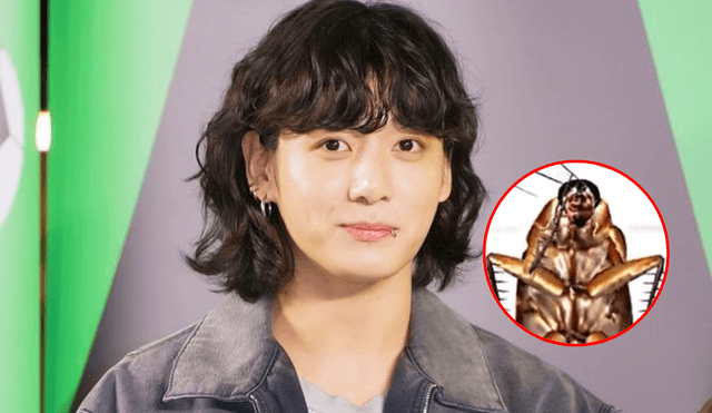 Después de revelar por error su cuenta secreta de TikTok, Jungkook de BTS se encontró con un clip de una cucaracha que danzaba su canción 'SEVEN'. Foto: composición LR/Hybe/TikTok