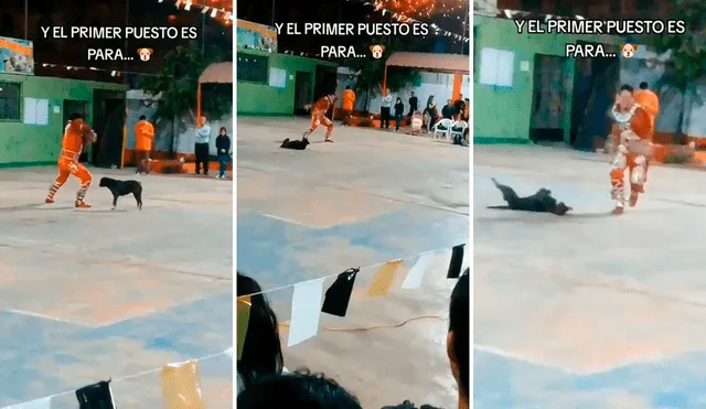 El video sacó miles de sonrisas a los usuarios en redes sociales. Foto: composición LR/@Hellenmaria98/TikTok