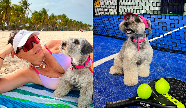 La raza de perros Schnauzer tiene sus orígenes en Alemania. Foto: composición LR/Laika La Schnauzer/Instagram