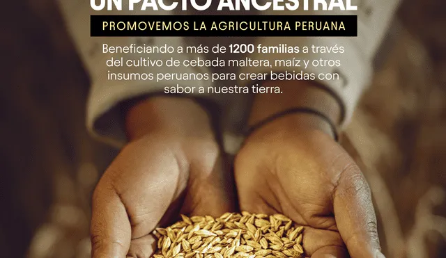 Backus y la Universidad Nacional Agraria La Molina se unen por el desarrollo del cultivo de la primera cebada maltera peruana.