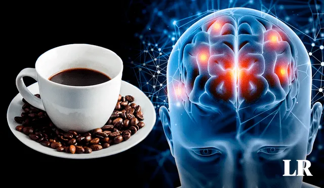 Investigaciones evidencian propiedades neuroprotectoras del café. Foto: composición LR