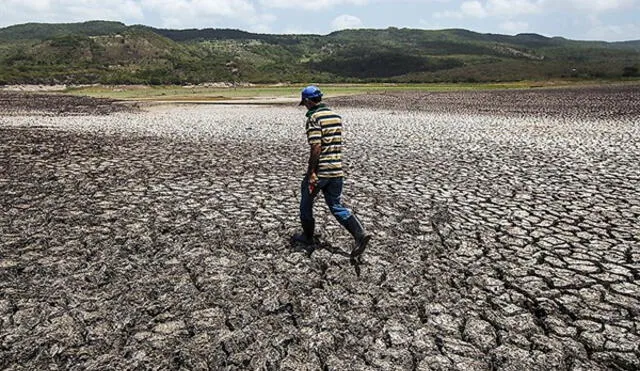 Terrenos se dejan de sembra desde 2022 por crisis. Foto: La República