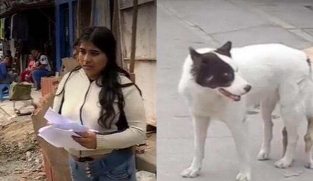 Tras este ataque, los vecinos temen por la seguridad de sus hijos. Foto: composición LR / captura América / video: América