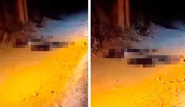 Muertos quedaron en medio de la carretera. Foto y video: Causa Justa