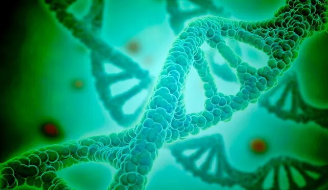 A pesar de lo complicado de pronunciarlo, el significado de ADN es más sencillo de lo que parece. Foto: National Geographic.