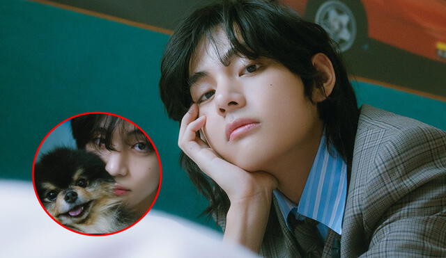 Las fotos de Taehyung despertaron la ternura de su fandom por posar junto a su mascota. Foto: composición LR/HYBE