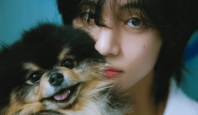 Yeontan y Taehyung en el álbum 'Layover'. El perro fue adoptado por V de BTS en 2017. Foto: Hybe