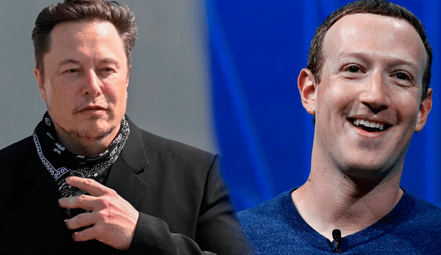 Elon Musk retó a Mark Zuckerberg a una pelea en un octógono de la UFC en julio de 2023. Foto: composición LR/Europa Press/Chesnot