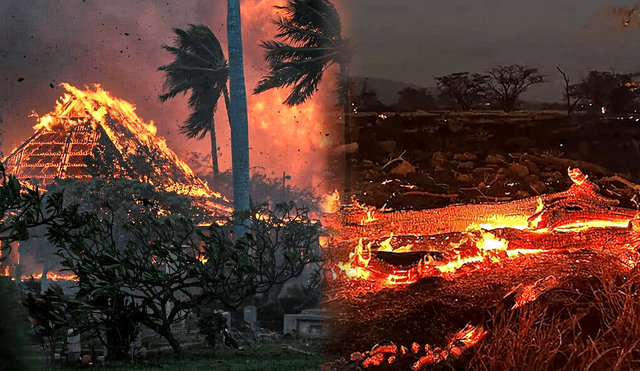 Hasta la fecha ha fallecido 53 personas en el incendio forestal que azota Hawái. Foto: composición Jazmin Ceras