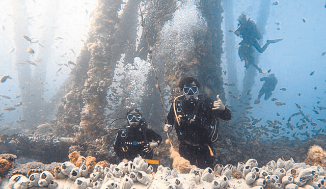 Importante. Arrecife artificial contribuye a pesca y turismo. Foto: difusión