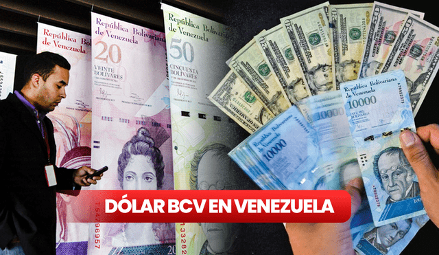 Dólar BCV en Venezuela HOY, lunes 14 de agosto de 2023. Foto: composición LR Dólar BCV en Venezuela HOY, lunes 14 de agosto de 2023. Foto: composición LR