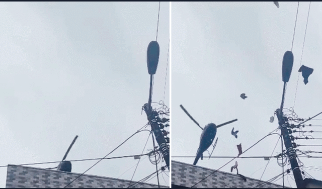 Los vecinos se mostraron sorprendidos por todo lo que caía del cielo. Foto: captura de LR/@E_vala30/TikTok