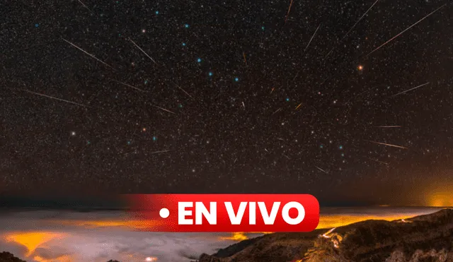 Una lluvia de estrellas sobre La Palma, una de las islas Canarias, en España. Foto: Vincent Duparc / NASA