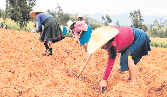 En espera. El Gobierno central ha aprobado un presupuesto para obras de prevención. Foto: difusión