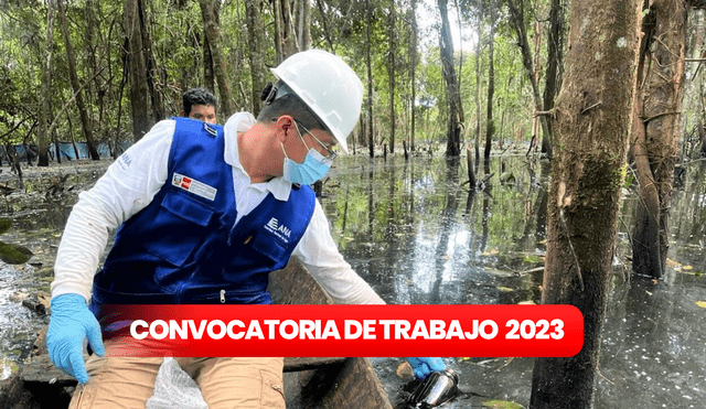 Conoce todos los requisitos, plazos y pasos para postular a la convocatoria laboral de ANA. Foto: composición LR/Autoridad Nacional del Agua