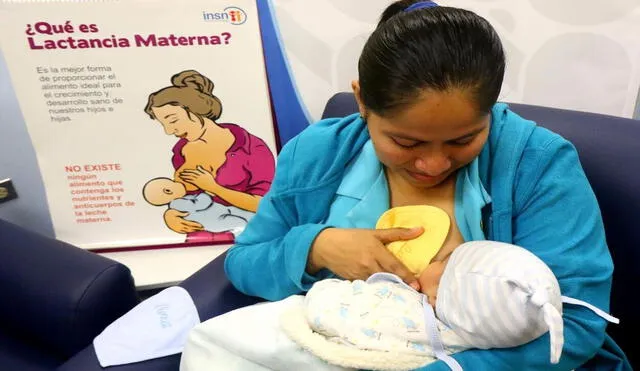 Revisa todos los detalles para tramitar el subsidio de lactancia materna en el Seguro Social de Salud. Foto: Andina