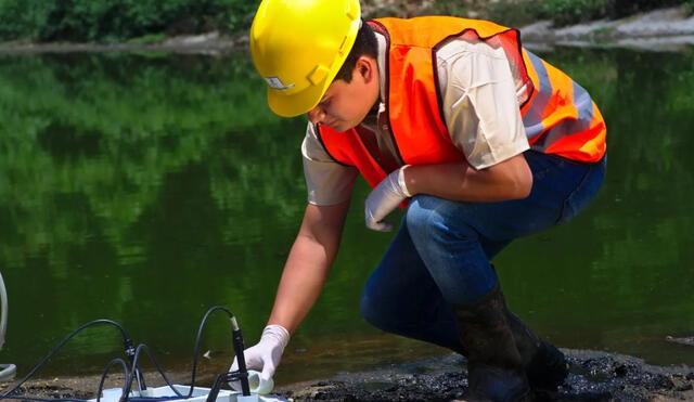 Personas que trabajan en construcción, arqueología o primeros auxilios son los que más trabajan in situ. Foto: Ecosistemas Proyectos Ambientales.