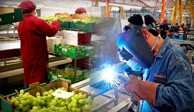 El stock más alto de empresas corresponde a los sectores agroindustria (1.787) y metalmecánica (1.329). Foto: composición LR