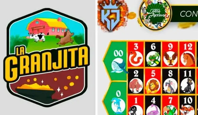 Lotería Lotto Activo y la Granjita de HOY, 19 de agosto de 2023, resultados de los Animalitos, Pirámide de Animalitos y datos explosivos. Foto: composición LR/ LotoVen/ RuletaActivaKJ