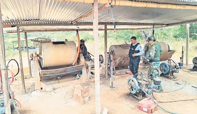 Reincidentes. Los campamentos ya habían sido intervenidos hace varios meses por la Fiscalía en Materia Ambiental, pero retomaron actividades. Foto: difusión