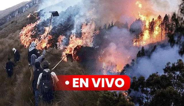 Incendio forestal en Apurímac. Foto: composición LR/Jazmin Ceras