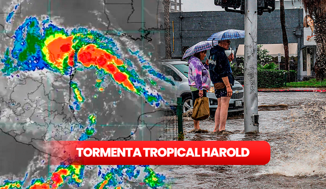 En este momento, las circunstancias en el golfo de México son favorables para la formación de una tormenta tropical. Foto: composición LR/Forbes México/Hola News