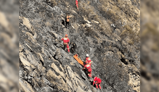 Fuego. Hasta ayer había algunas zonas aún con fuego, otras que podrían reavivarse.