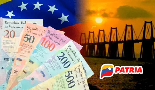 Consulta AQUÍ todo lo que se sabe sobre el pago de este subsidio en Venezuela. Foto: composición LR/CNN en Español/El Estímulo/Patria/Freepik
