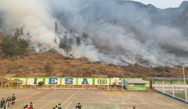 Incendio forestal Puno.