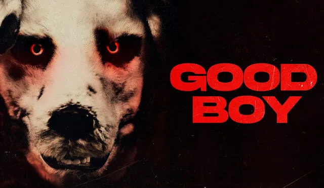 La película 'Good boy' es de origen noruego. Foto: Captura de YouTube