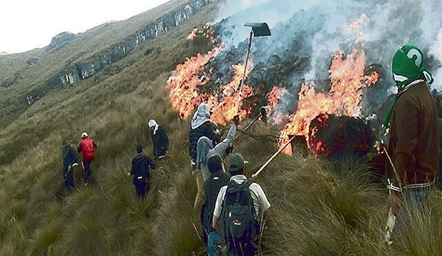 Pérdidas humanas. El descontrolado fuego en el distrito de Ihuayllo, en la región Apurímac, dejó al menos cinco muertos. Foto: Andina