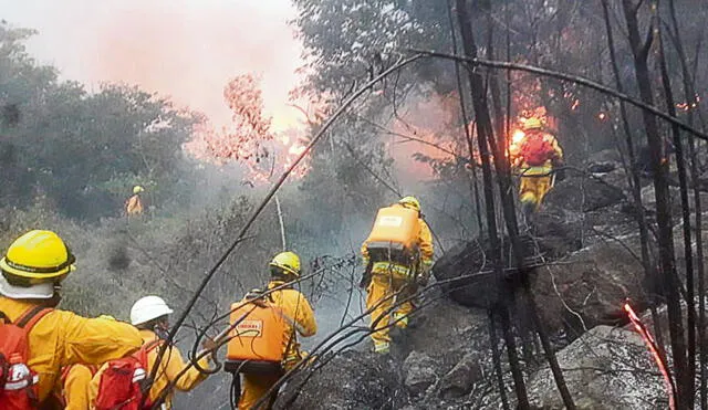Desde el Ministerio de Cultura informaron que se han reportado tres incendios forestales en la zona, en lo que va del año. Foto: Sernanp