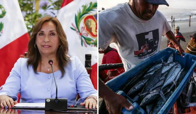 El incremento de las pensiones de jubilación beneficiará a más de 4.000 pescadores. Foto: composición LR/Presidencia/La República