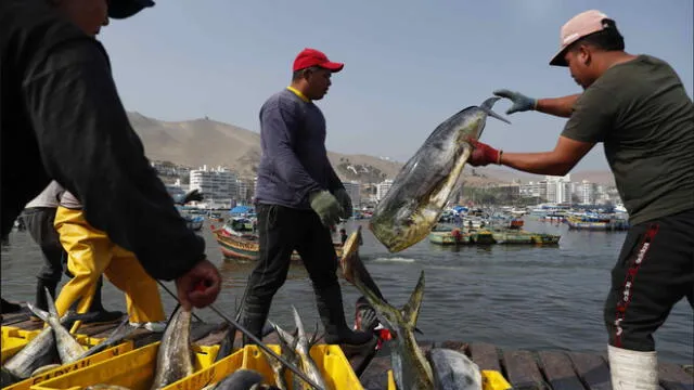 Jubilados del sector pesca. Pensiones de estos trabajadores se encontraban entre los S/10 y S/80 mensuales. Foto: EFE