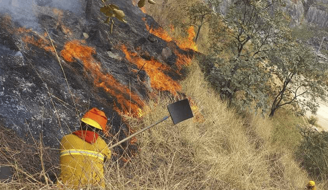 Bajo control. El incendio inició hace 3 días en la zona de amortiguamiento del santuario de Machu Picchu. Ayer recién pudo ser controlado.