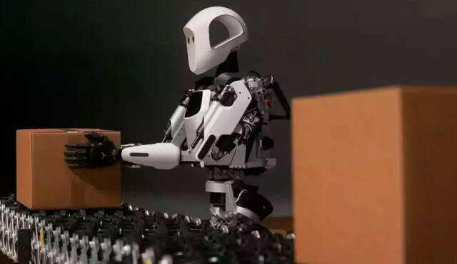 El robot no puede cargar más de 25 kilos. Foto: The Economic Times