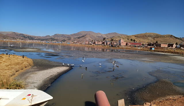 El baño de Puno. El lago Titicaca recibe las aguas servidas de las ciudades situadas a su alrededor. Se trata de un embalse contaminado .