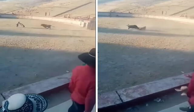 Toro cornea a hombre y provoca su muerte. Foto: Cusco canchis - Video: Cusco canchis