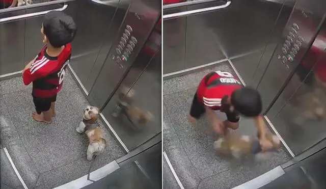 El menor logró descolgar a tiempo a su mascota, que salió ilesa tras quedar su correa enganchada al ascensor. Foto: composición LR/captura/G1 - Video: G1