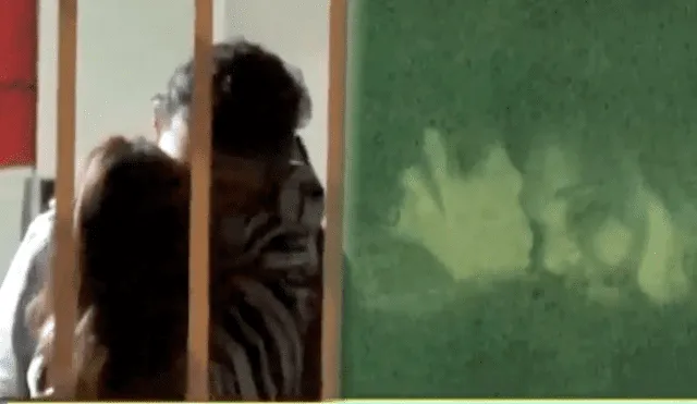 Érika Villalobos fue grabada por las cámaras de 'Magaly TV, la firme' besándose con un hombre. Foto: composición LR/captura de ATV