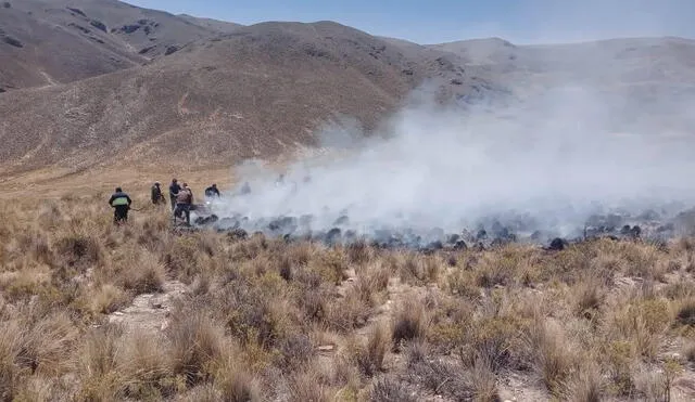 Daños. Incendios forestales han causado graves daños en la flora y fauna de poblados de la región Arequipa.